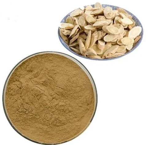 Astragalus Extract Powder.png